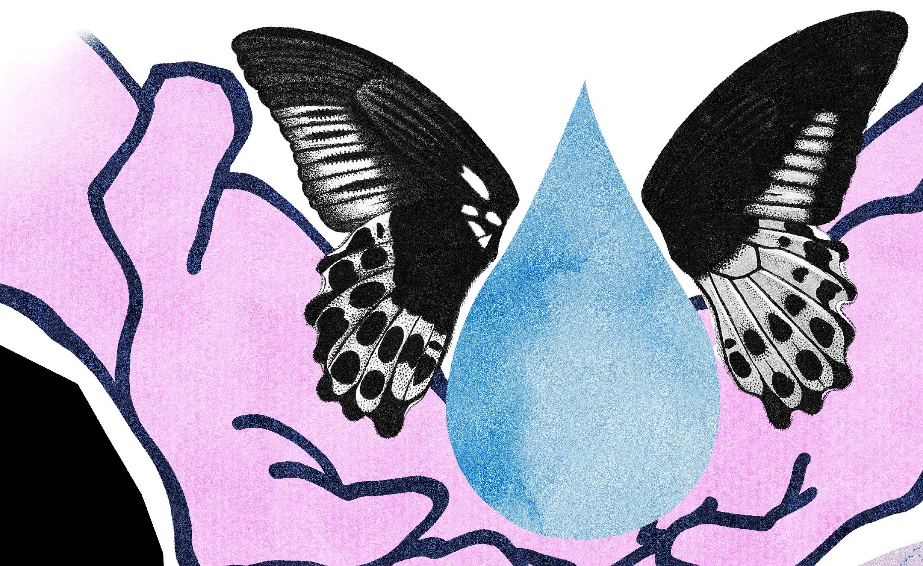 Illustration du projet RainCatcher